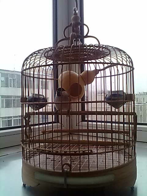 20131209079_看图王.jpg