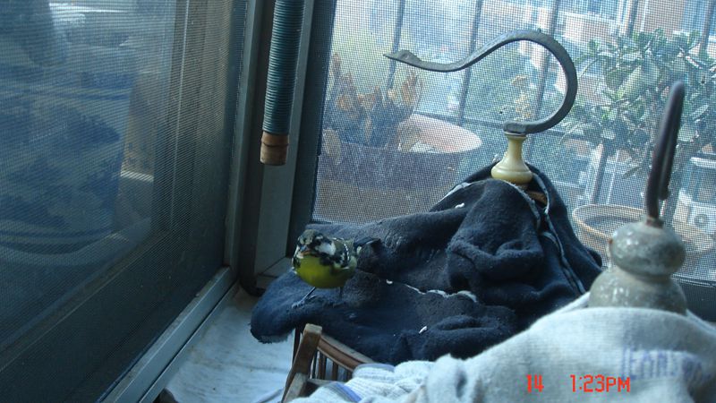 DSC06162.JPG