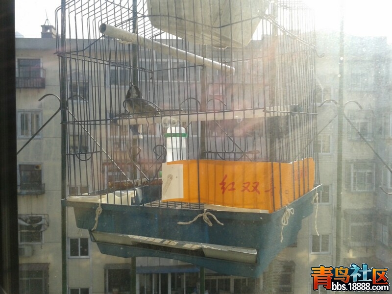 2013-12-01 10.09.04.jpg