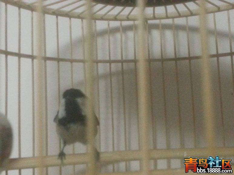 20131205_180351_18.jpg