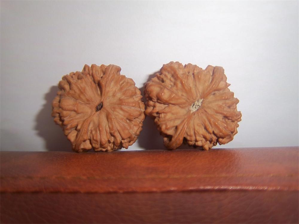 100_4654.JPG