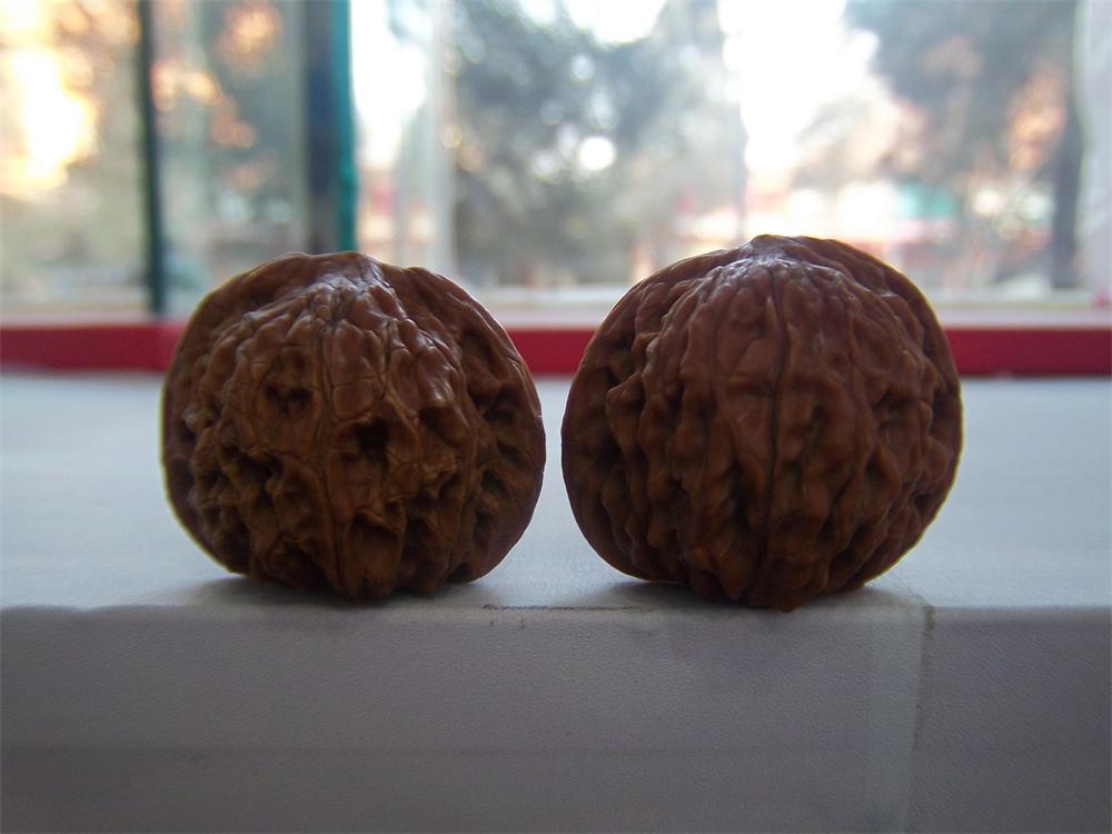 100_4878.JPG