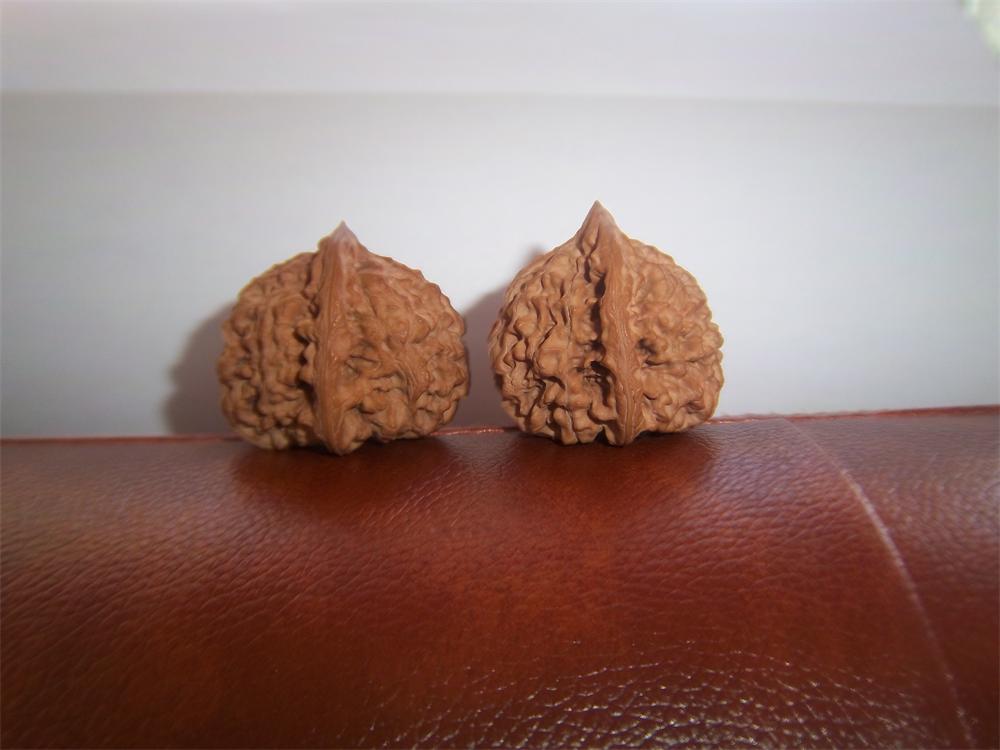 100_4649.JPG