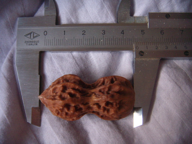 DSCN9206.JPG