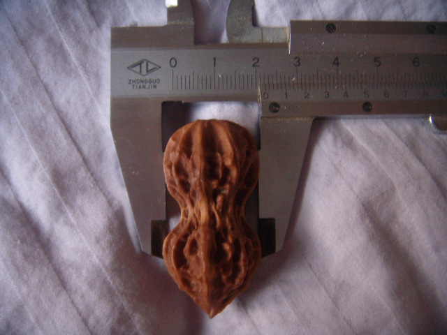 DSCN9205.JPG