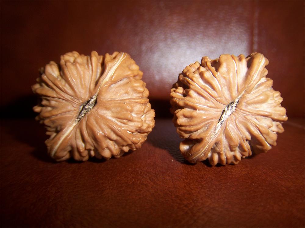 100_5022.JPG