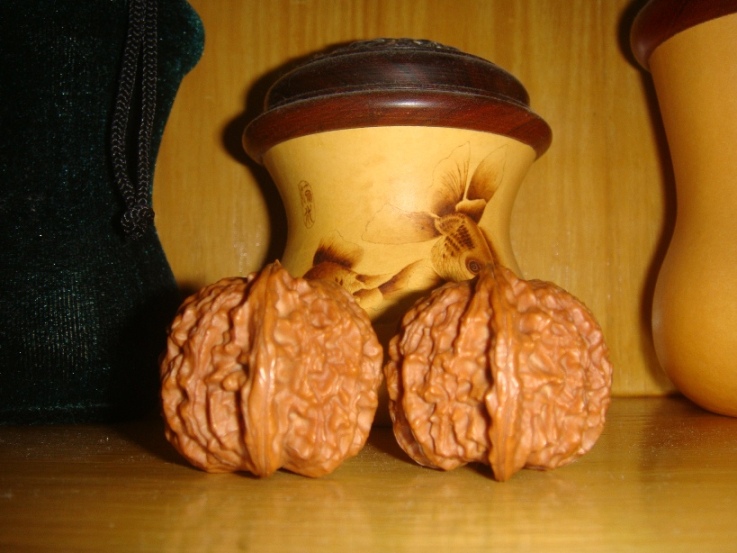 DSC00570.JPG