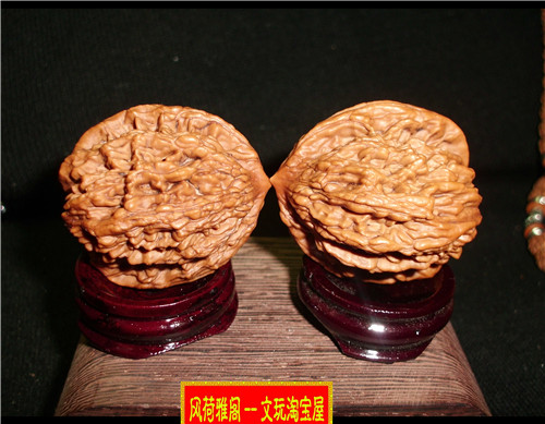 CIMG5780.JPG