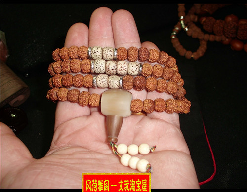 CIMG5822.JPG