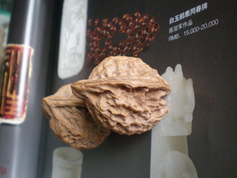 P8280027_conew1.jpg