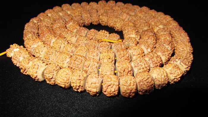 金刚苏串 (10).jpg