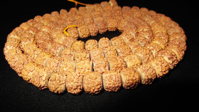 金刚苏串 (13).jpg