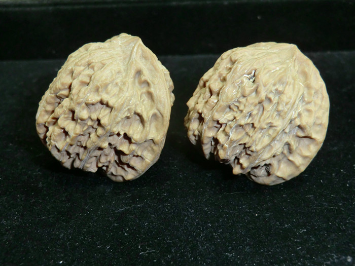 CIMG5395.JPG