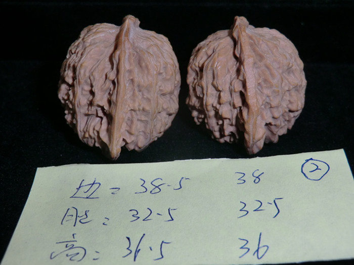 CIMG5398.JPG