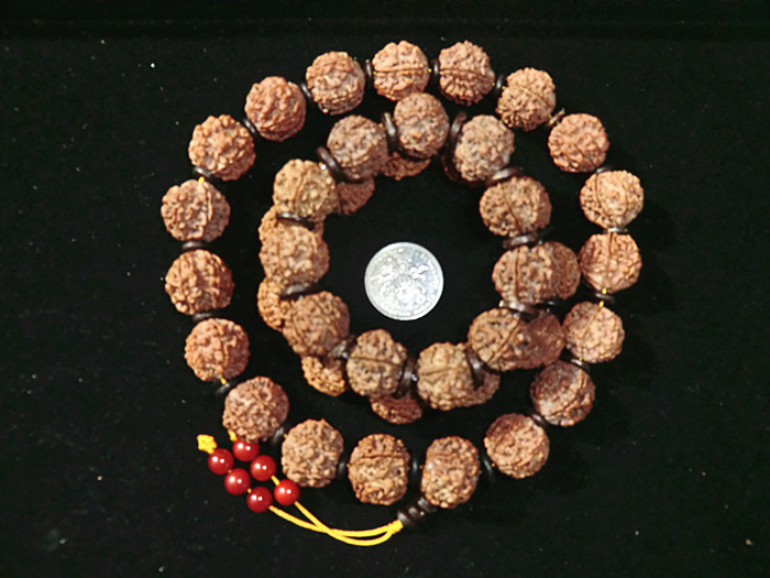 CIMG5717.JPG