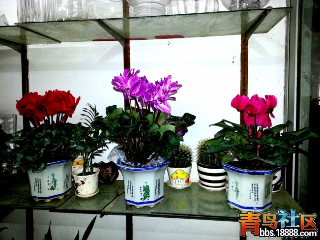 20140112_110732.jpg