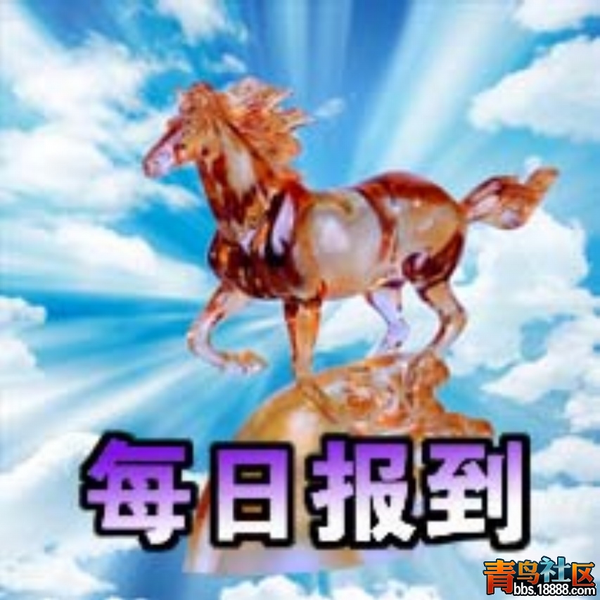 55.jpg