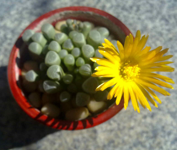 201112121387.jpg