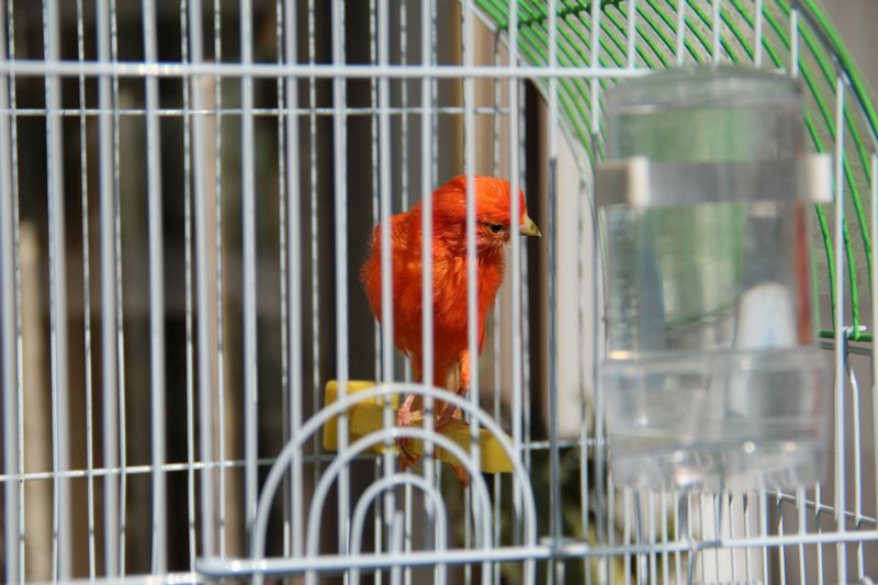 nEO_IMG_IMG_0039.jpg
