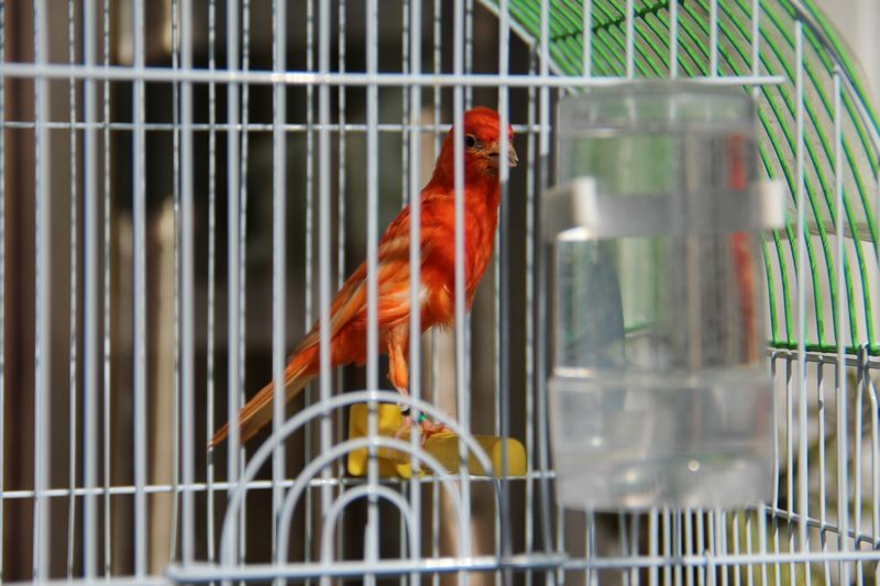 nEO_IMG_IMG_0024.jpg