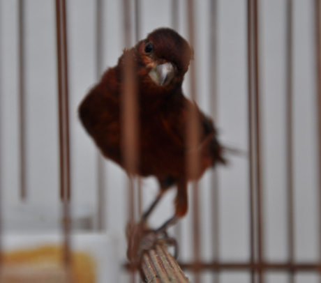DSC_0035.jpg