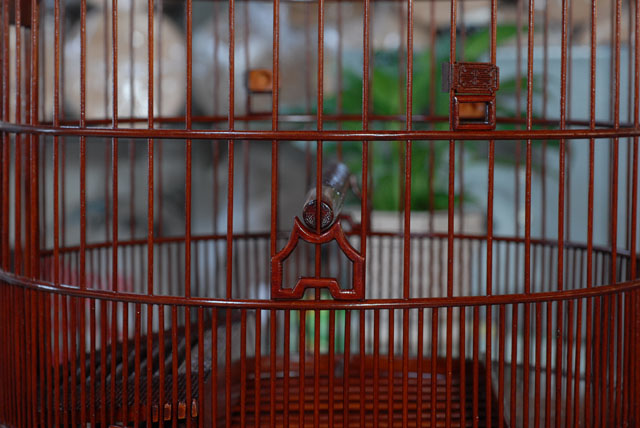 DSC_0012.JPG