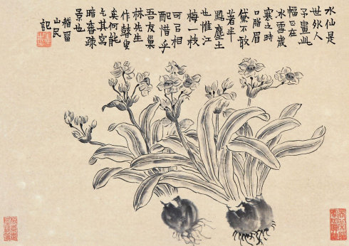 水仙.jpg