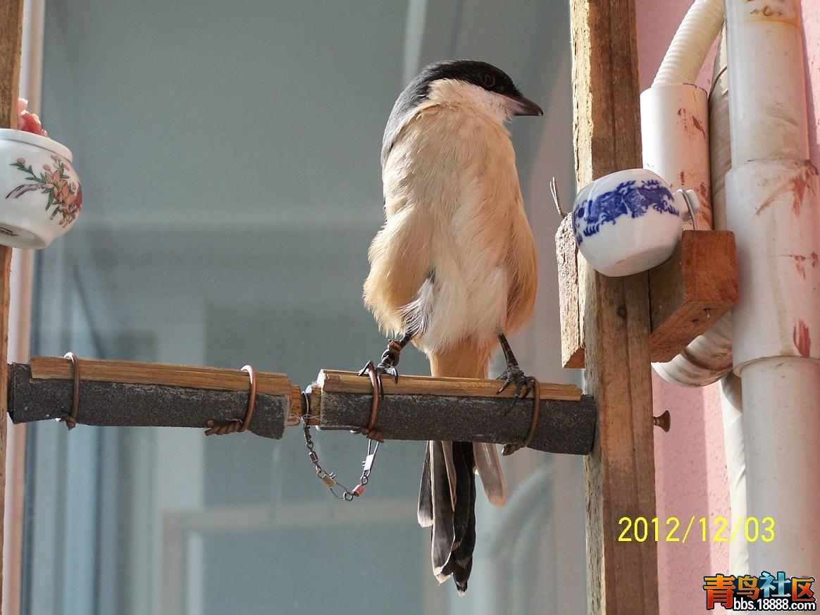 2012年12月2.JPG