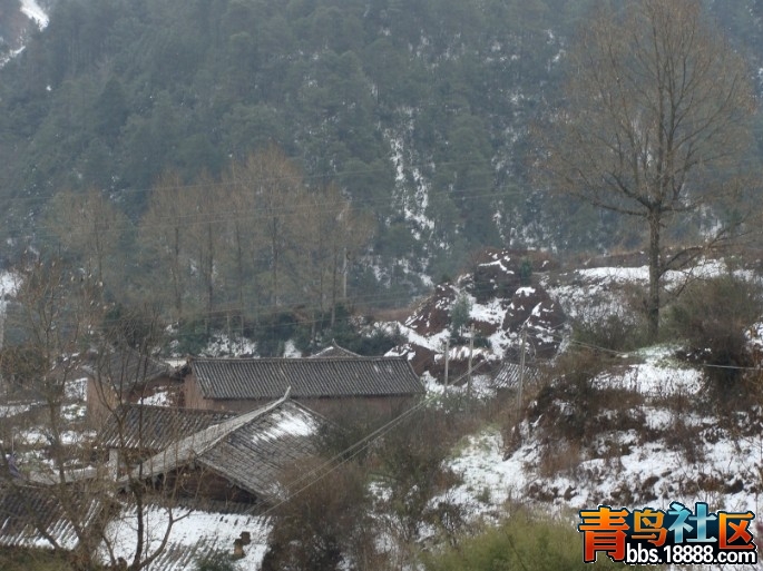 QQ图片20140106171058.jpg