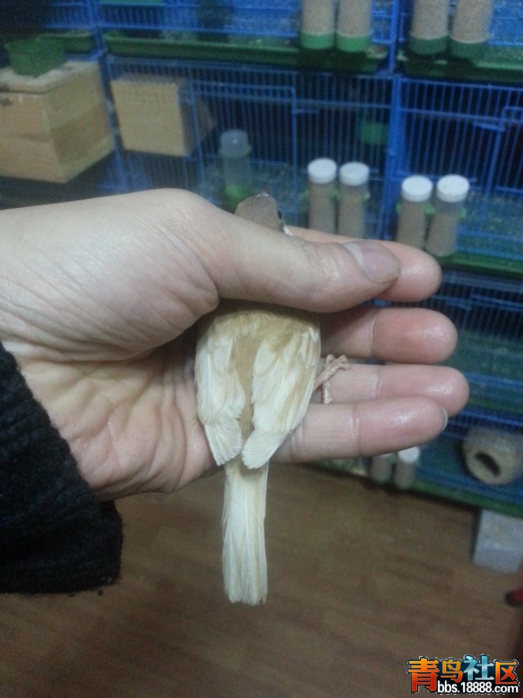 20140126_165918.jpg