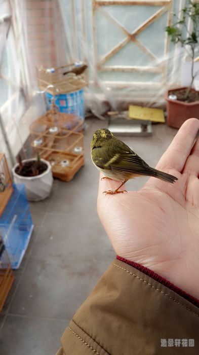 C360_2014-01-09-15-22-18-404_nEO_IMG.jpg