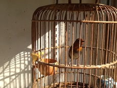 照片 346.jpg