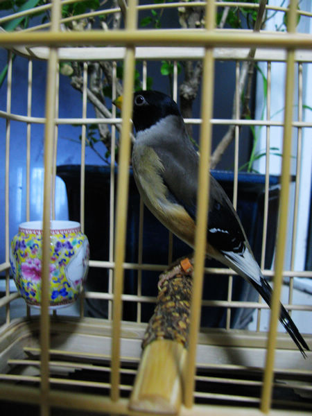 IMG_9727.JPG