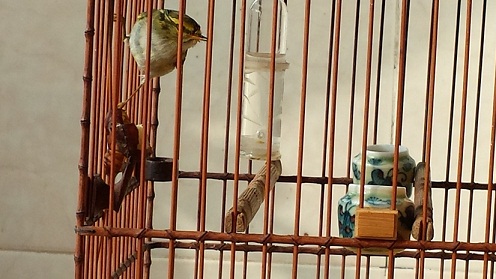 20140119_102347.jpg