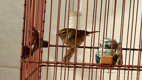 20140119_102354.jpg
