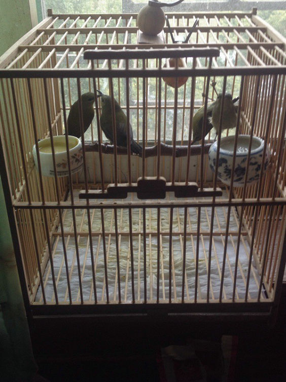 QQ图片20140105102543.jpg