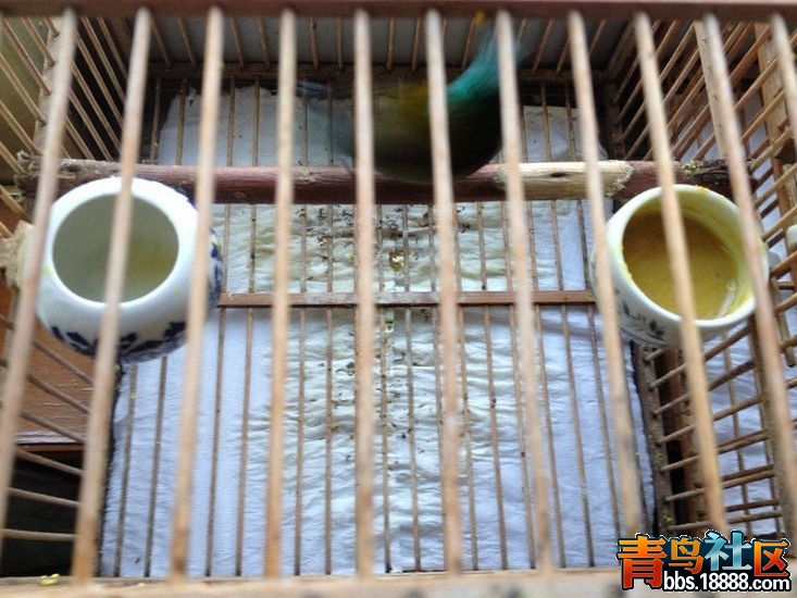QQ图片20140106083233.jpg