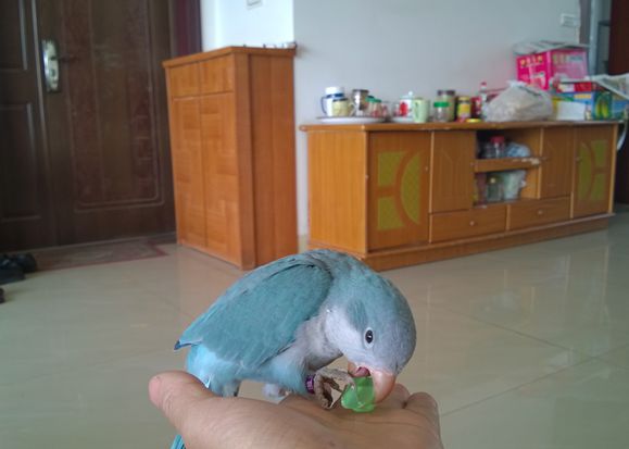 WP_20140131_017.jpg