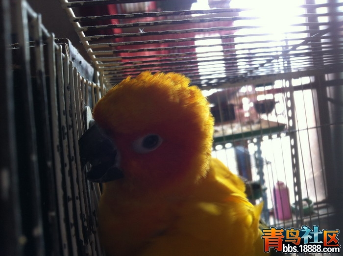 IMG_0616_缩小大小.JPG
