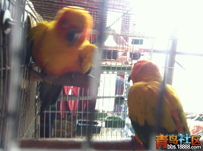 IMG_0602_缩小大小.JPG