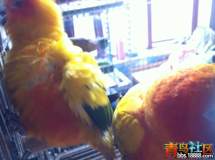IMG_0625_缩小大小.JPG