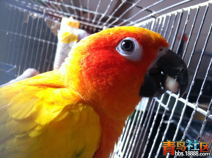 IMG_0631_缩小大小.JPG