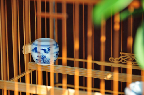 DSC_0589_副本.jpg