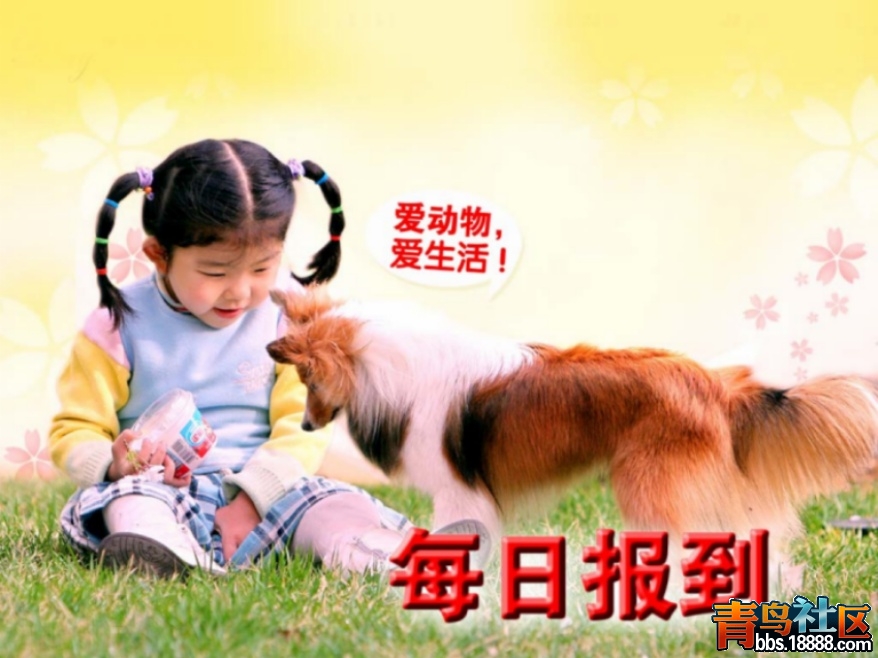 每日报到1 拷贝.jpg