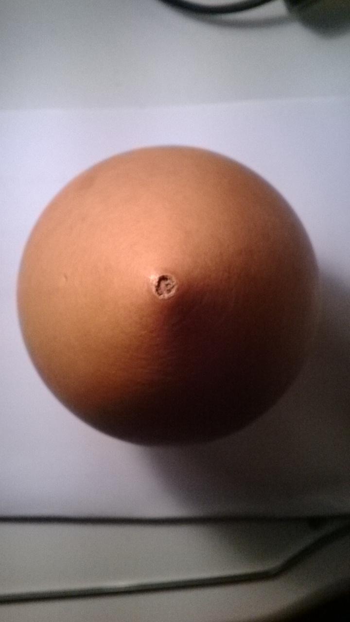 2.JPG