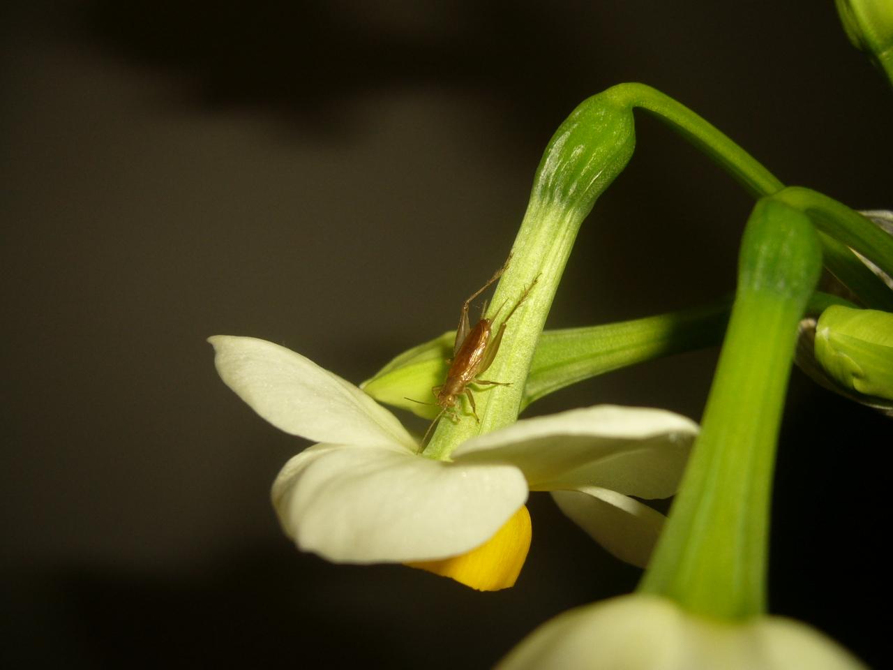 P1100361.JPG