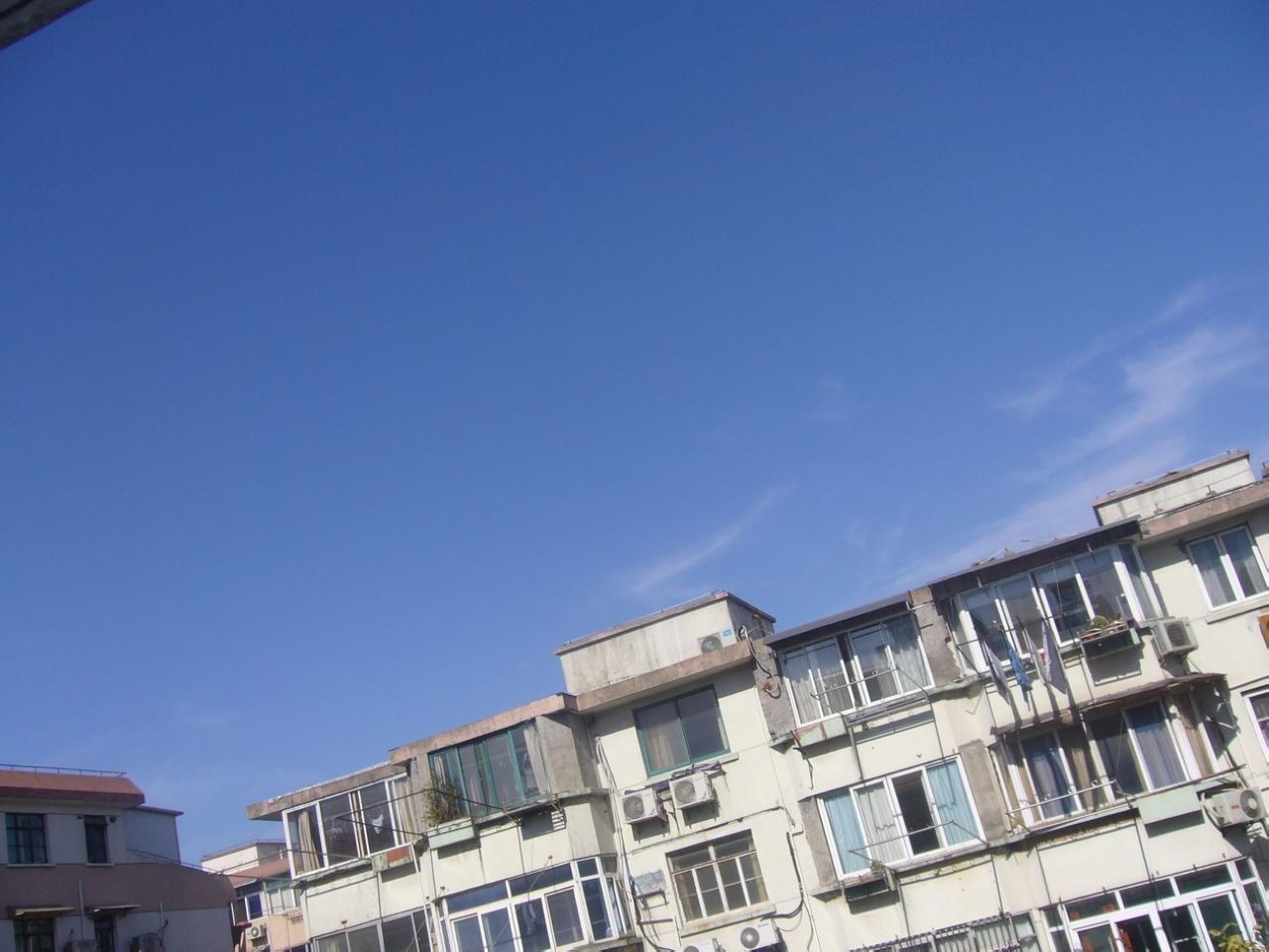 P1100218.JPG