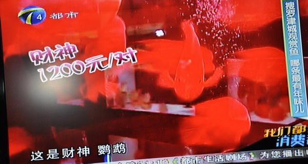 照片 225.jpg