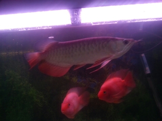 20140124_005422.jpg