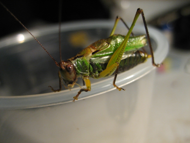 2012-1104 014.jpg